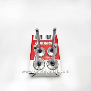 سوپاپ کامل پژو405- استاندارد (قائم)
